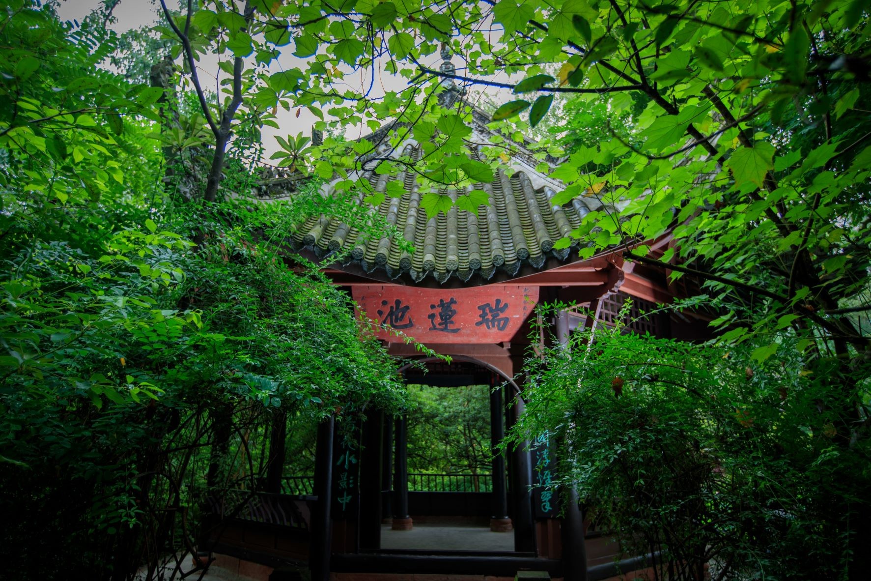 서련정(瑞莲亭)