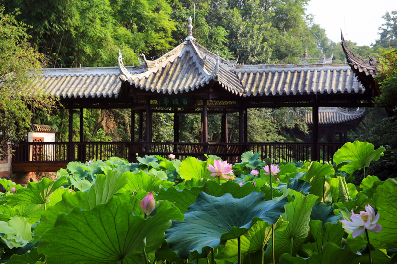 백파정(百坡亭)